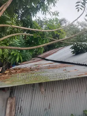Land for sale in Mongla.