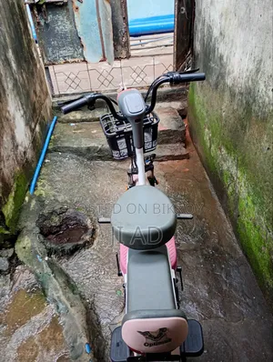 নিউ অটডেক্স সানি ২০২৬ পিংক
