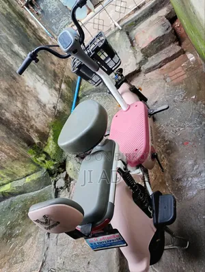 নিউ অটডেক্স সানি ২০২৬ পিংক
