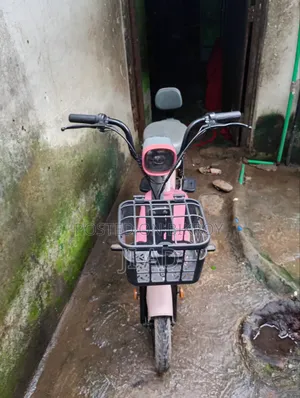 নিউ অটডেক্স সানি ২০২৬ পিংক