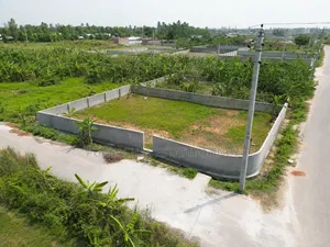 3 Katha South-East Corner Plot With 54 Ft Roads, Sector 15