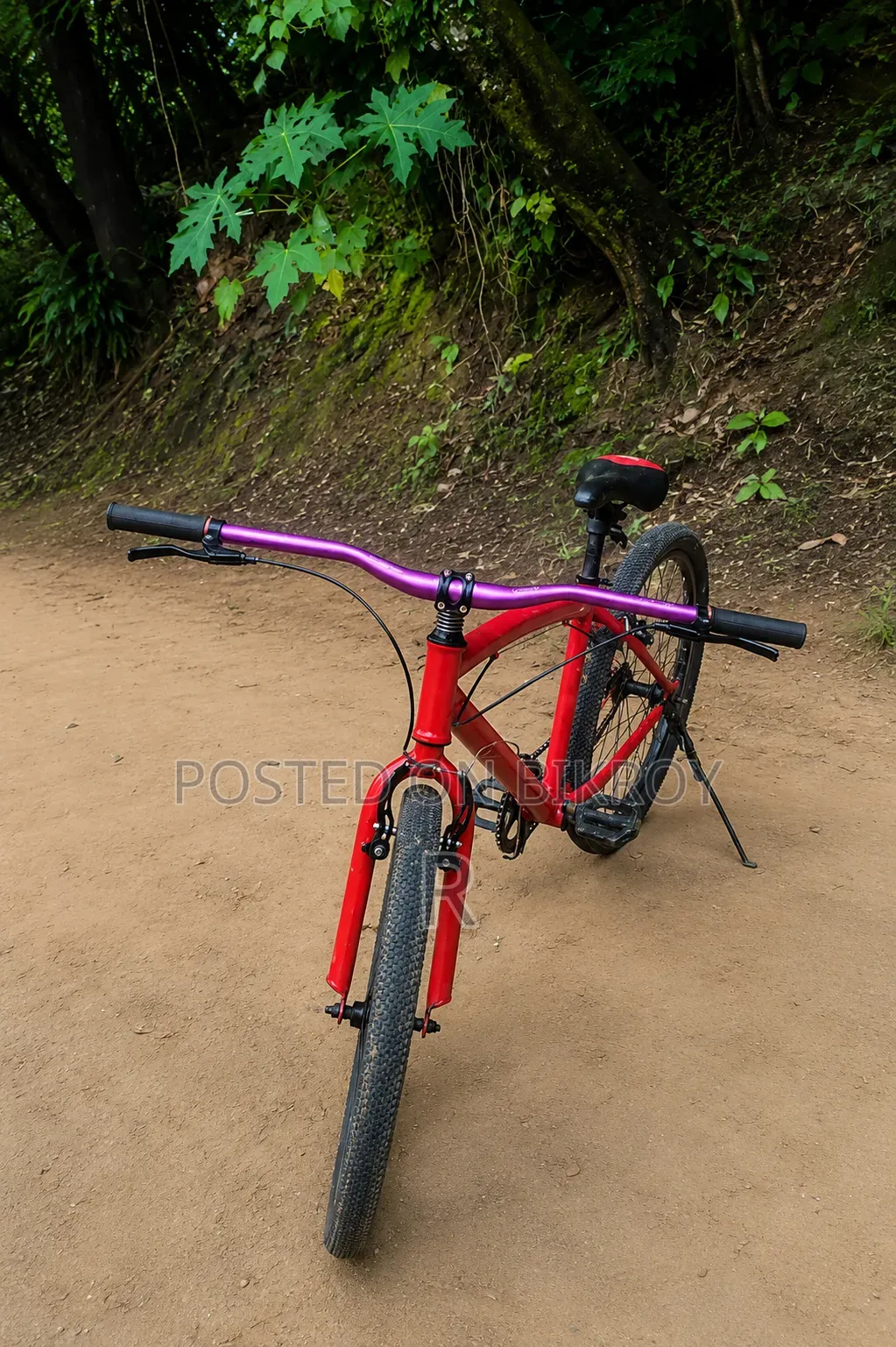 Upgraded Cycle