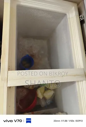 Jamuna 300L Deep Fridge