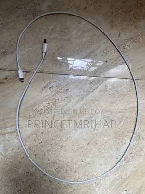 iPhone 20W Charger