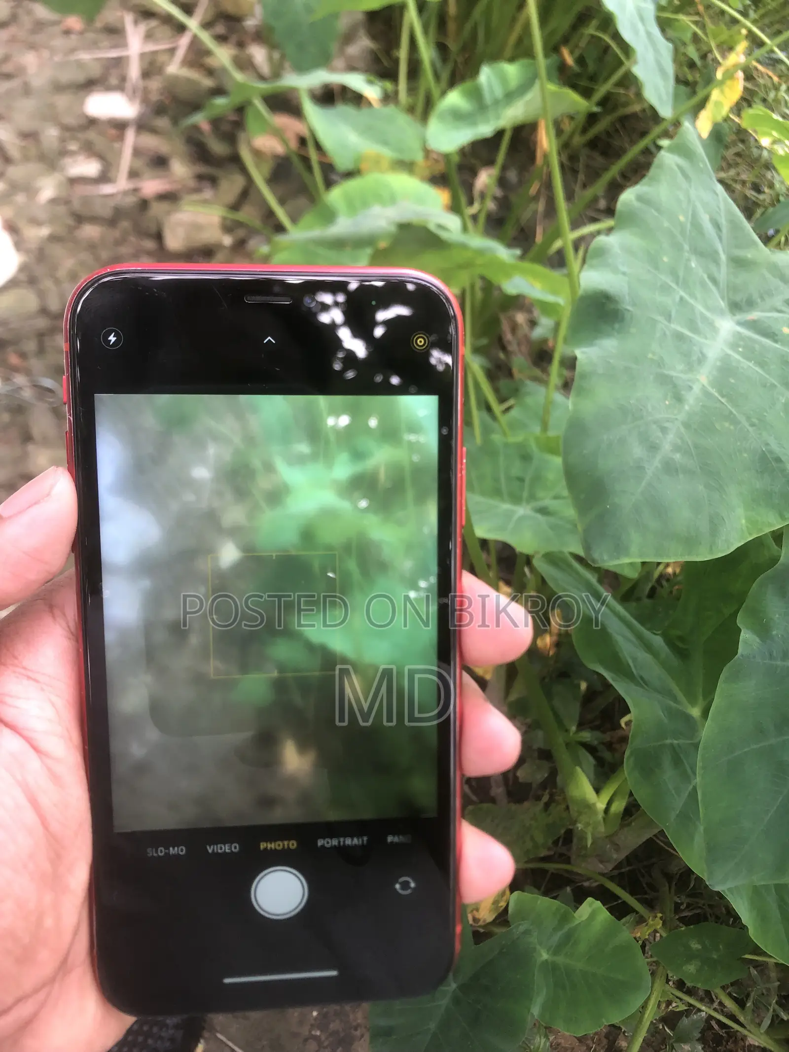 Apple iPhone XR 128 GB Red