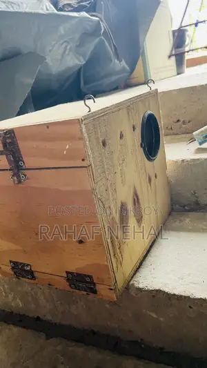 একটি পাখির খাচা কোকাটেল ব্রিডিং বক্স