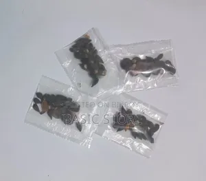 China Apple Seeds