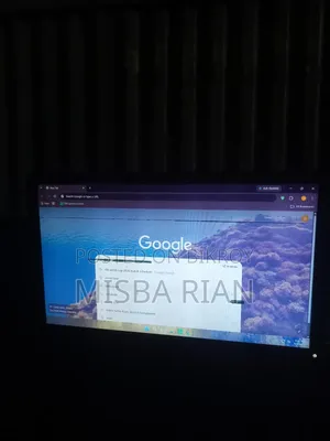 Display Issue Monitor