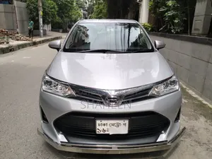 Toyota Axio 2019 Silver