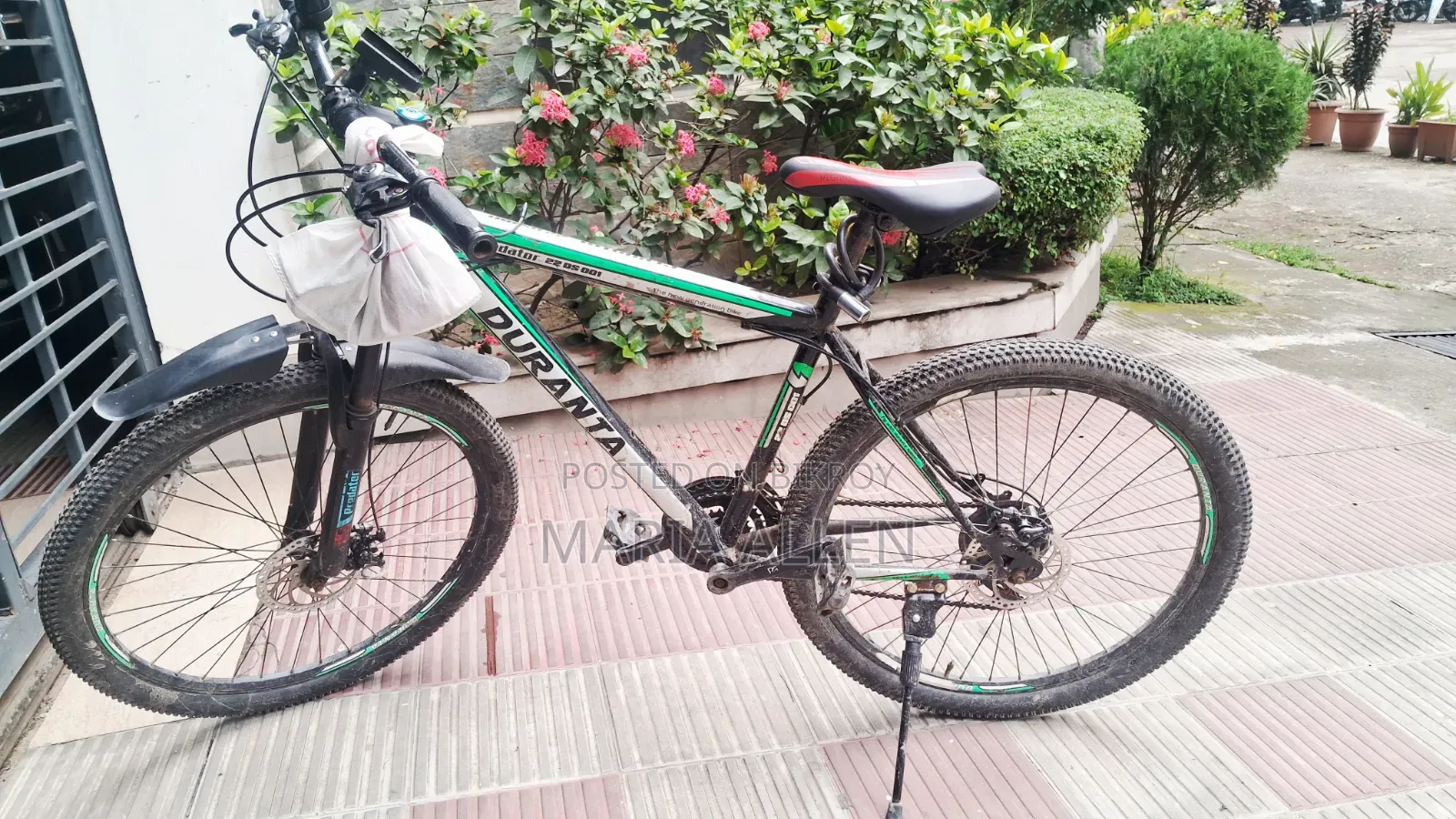 Duranta Cycle for Sale