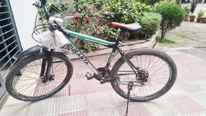 Duranta Cycle for Sale