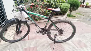 Duranta Cycle for Sale