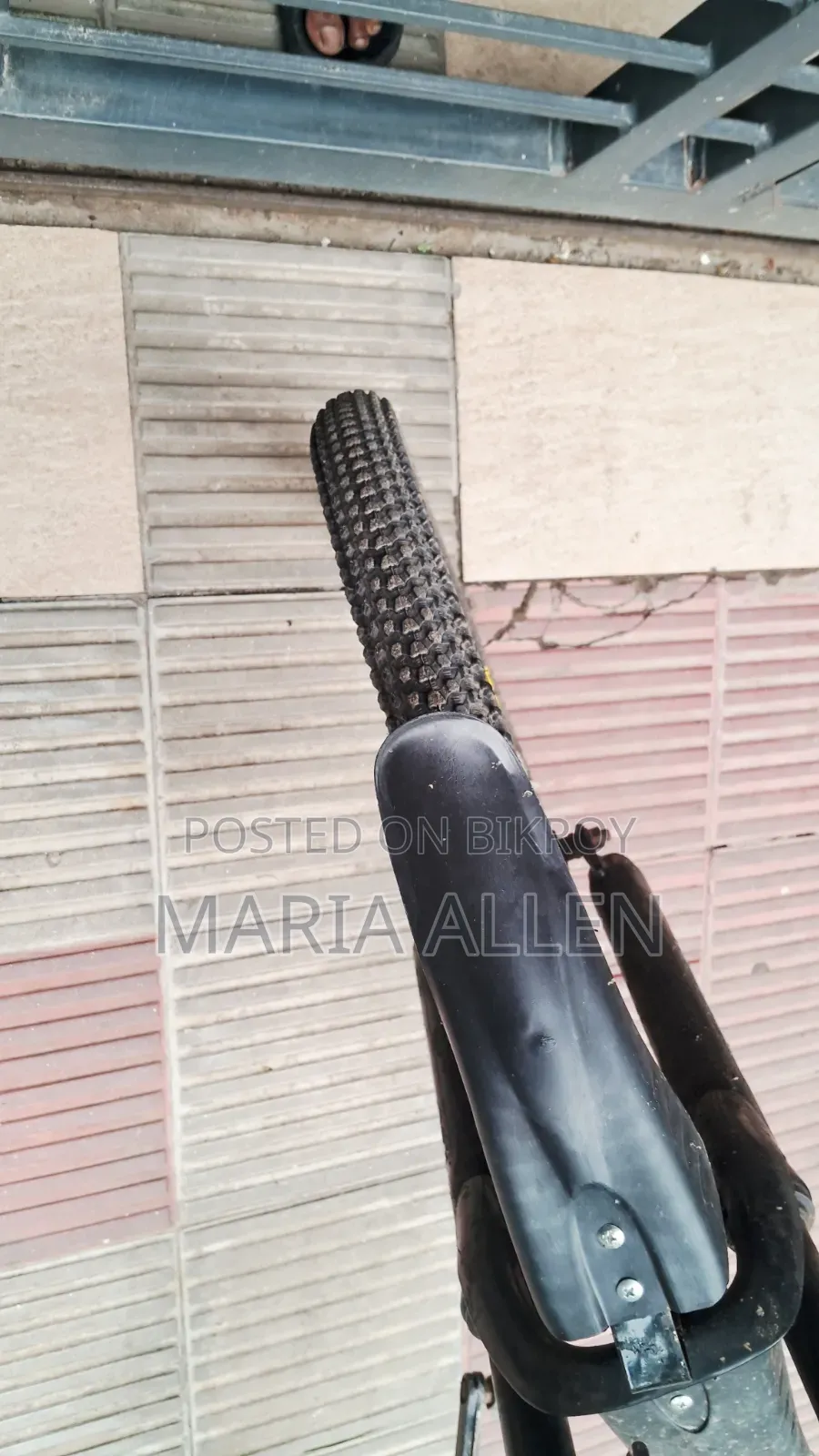 Duranta Cycle for Sale