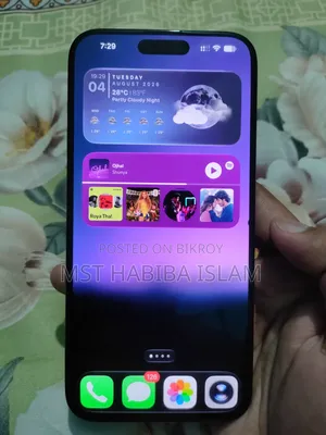 Apple iPhone 15 Pro Max 256 GB Black