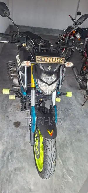 Yamaha FZS V3 2019 Gray