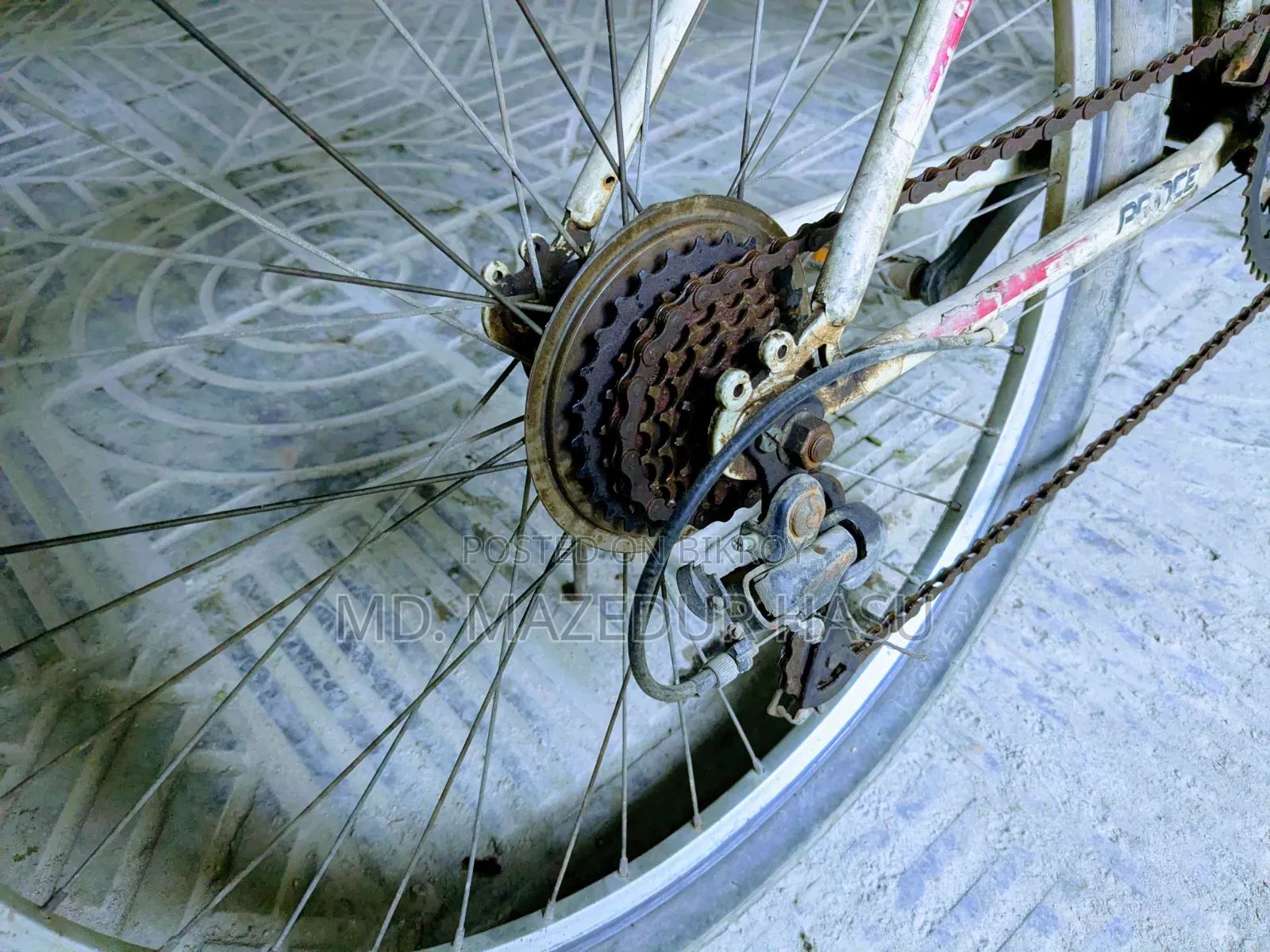 Low Price Gear Bicycle