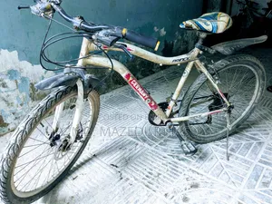 Low Price Gear Bicycle