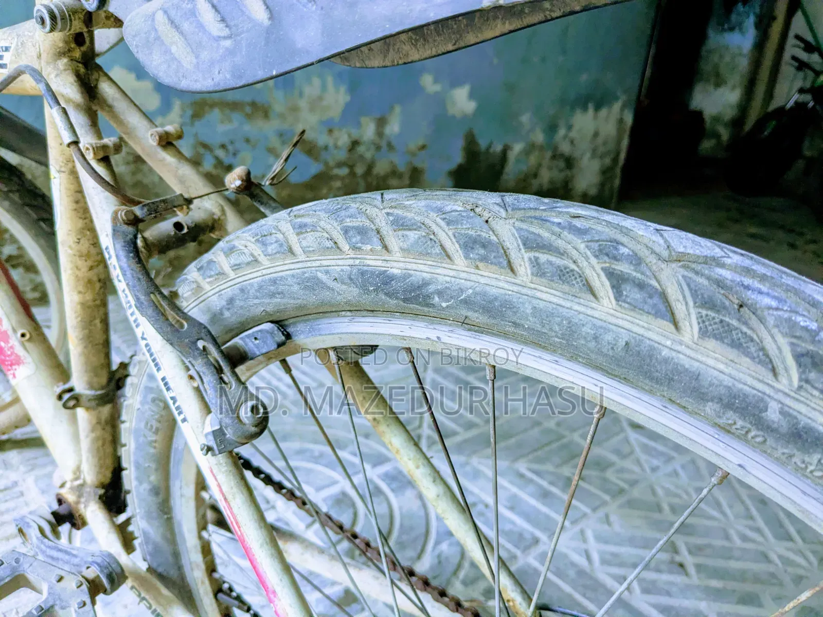 Low Price Gear Bicycle