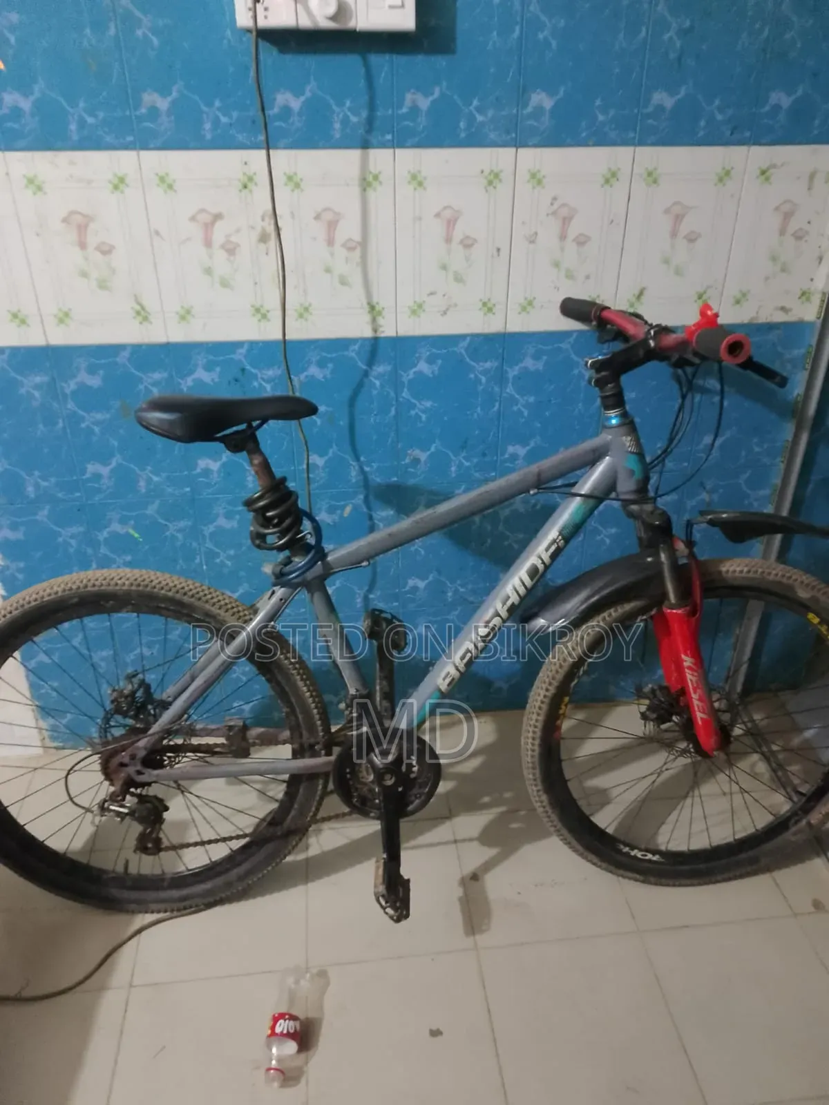 Running Bicycle