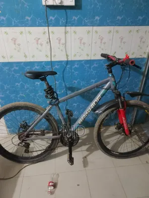 Running Bicycle