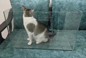একুরিয়াম ট্যাংক Aquarium Tank Sell