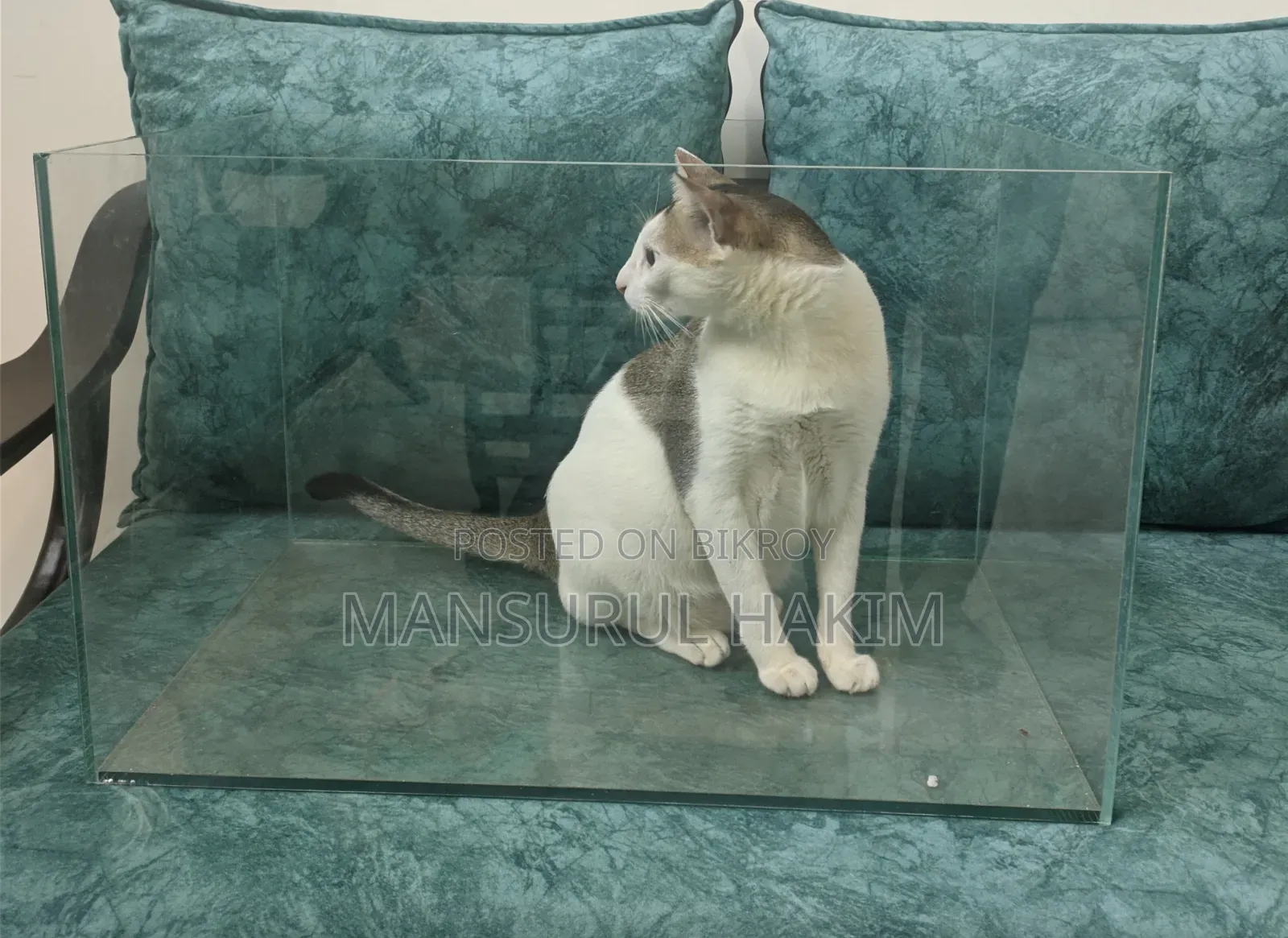 একুরিয়াম ট্যাংক Aquarium Tank Sell