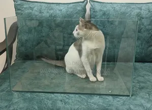 একুরিয়াম ট্যাংক Aquarium Tank Sell