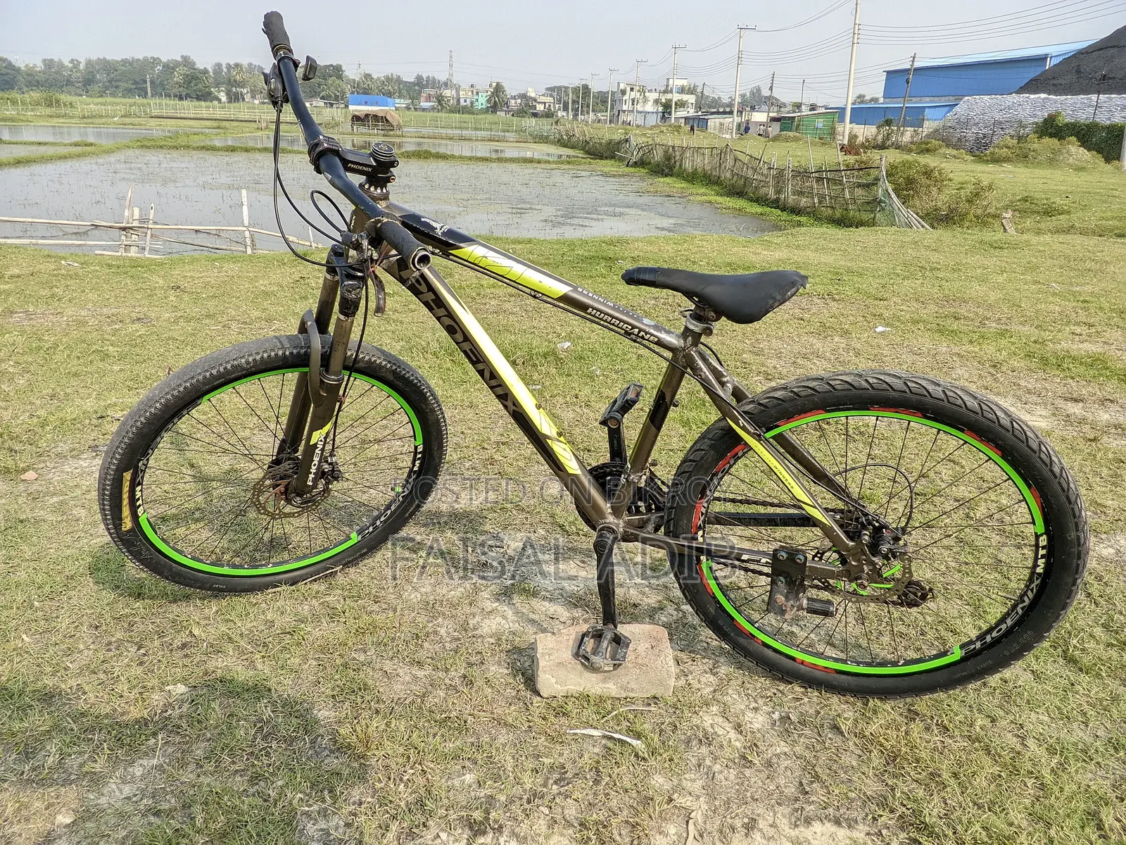 Phoenix Cycle