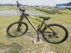 Phoenix Cycle