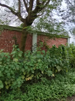 পূর্বাচল ১১ নং সেক্টরে ৭.৫ কাঠা প্লট বিক্রি