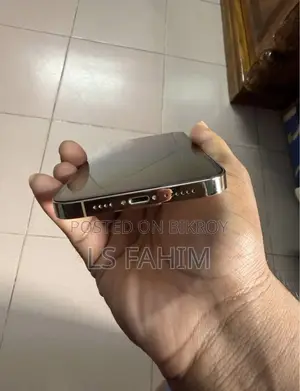 অ্যাপল আইফোন ১৩ প্রো ম্যাক্স ২৫৬ জিবি গোল্ড