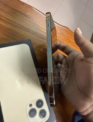 অ্যাপল আইফোন ১৩ প্রো ম্যাক্স ২৫৬ জিবি গোল্ড