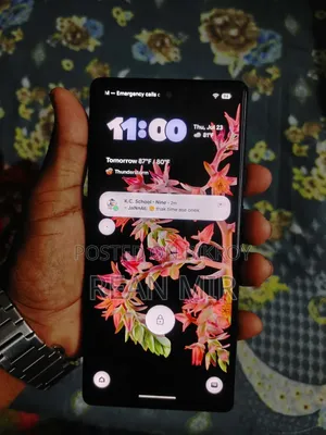 গুগল পিক্সেল ৬ ১২৮ জিবি পিংক
