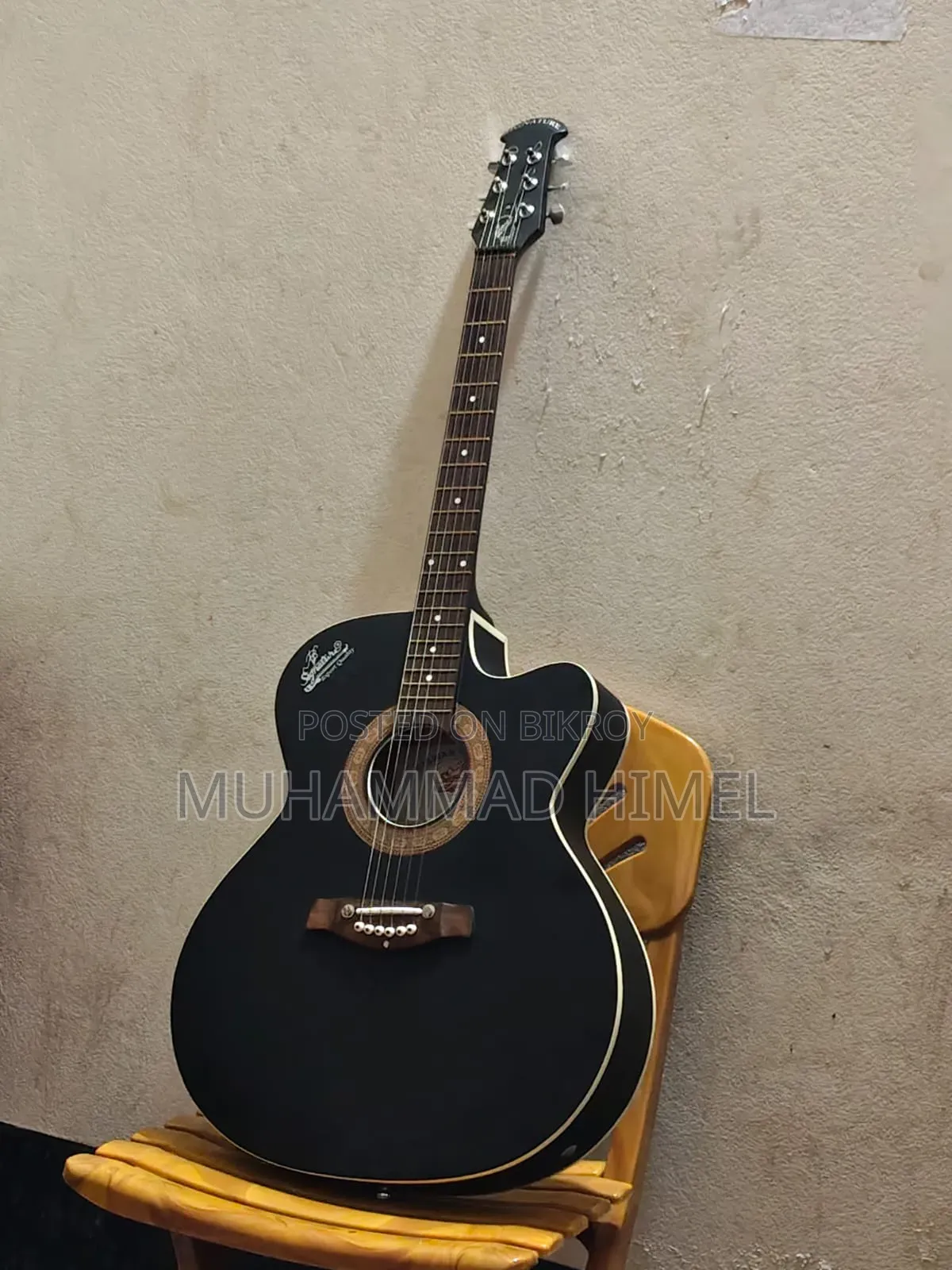 সিগনেচার ব্র্যান্ড গিটার