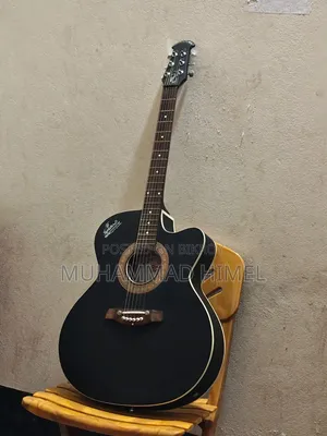 সিগনেচার ব্র্যান্ড গিটার