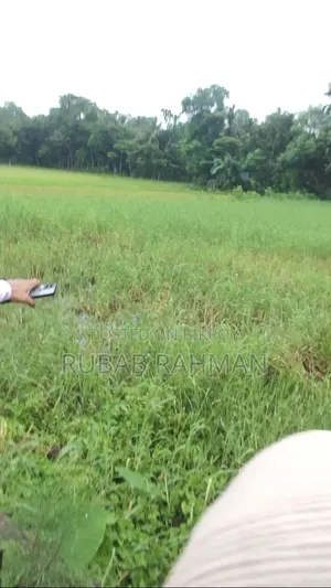 হাইওয়ের পাশে জমি, লাকসাম।