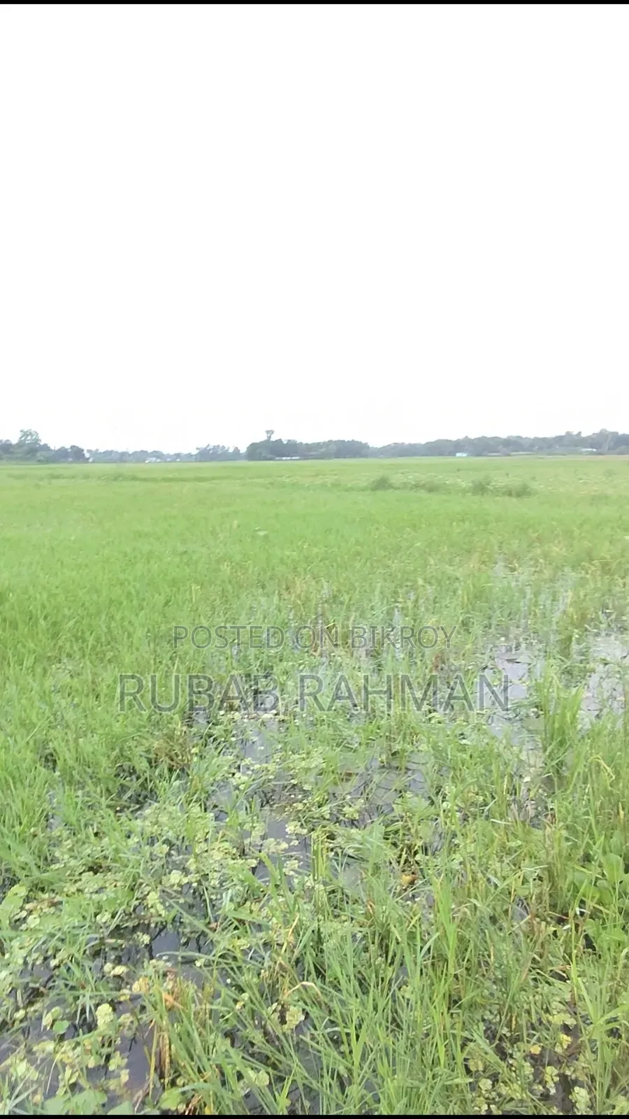 হাইওয়ের পাশে জমি, লাকসাম।