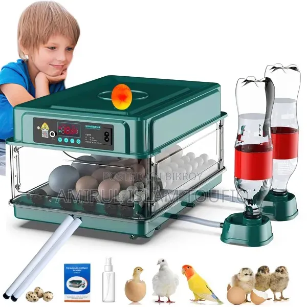 30 Eggs China Auto Incubator G-30 - AC/DC Dual Power Egg Incubator