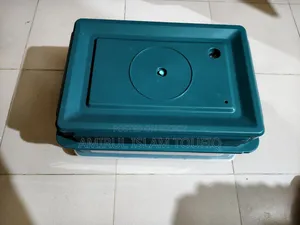 30 Eggs China Auto Incubator G-30 - AC/DC Dual Power Egg Incubator