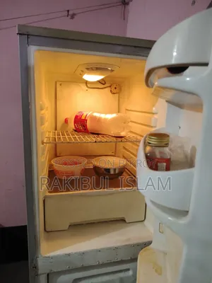 Singer Fridge