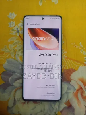 Vivo X60 Pro+ 5G 256 GB Gray