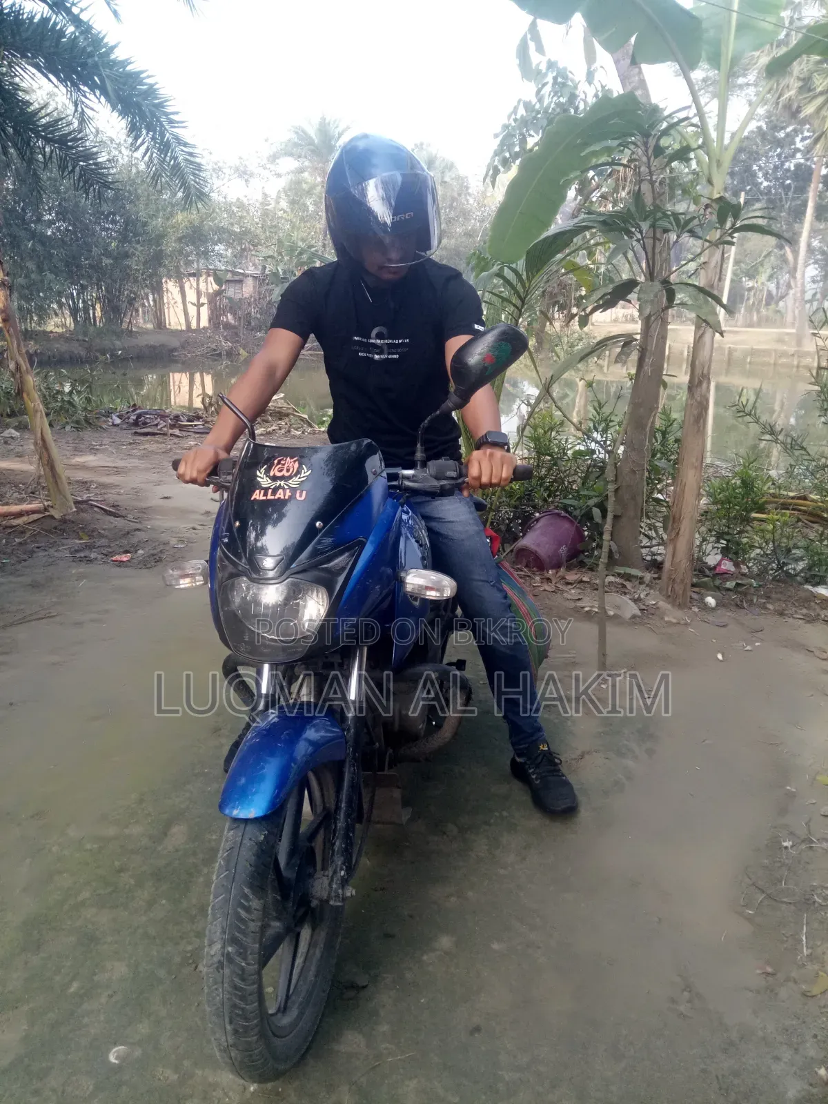 Bajaj Pulsar 150 2016 Blue