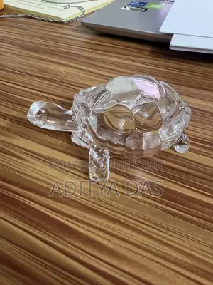 Manifestation Lucky Turtle | Brings Luck in Home