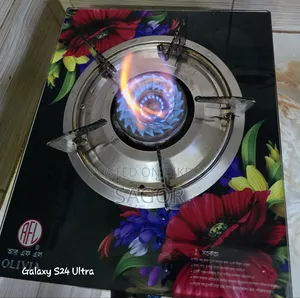 Gas Stove