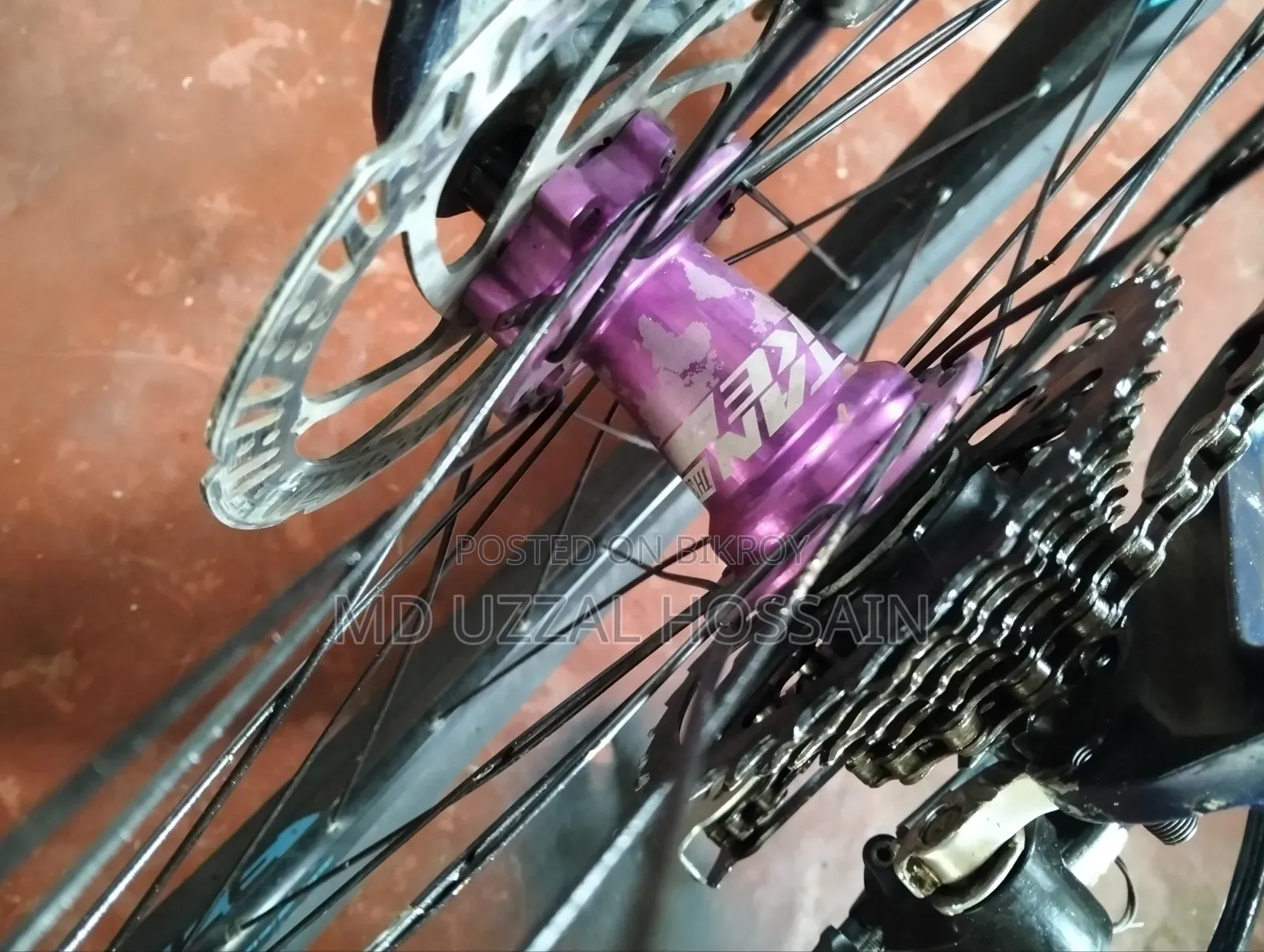 মডেল। ভেলোসি লিগ্যাসি। অয়েল ব্রেক