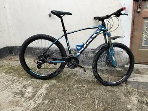 মডেল। ভেলোসি লিগ্যাসি। অয়েল ব্রেক