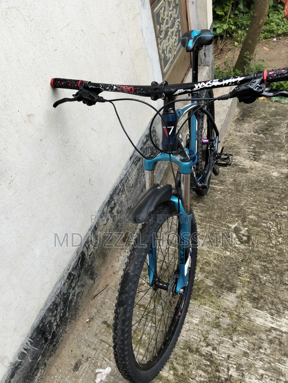 মডেল। ভেলোসি লিগ্যাসি। অয়েল ব্রেক