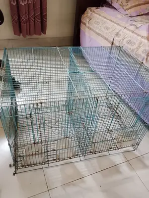 ২৪/১৬ ফোল্ডেবল কেইজ উইথ ডিভাইডার