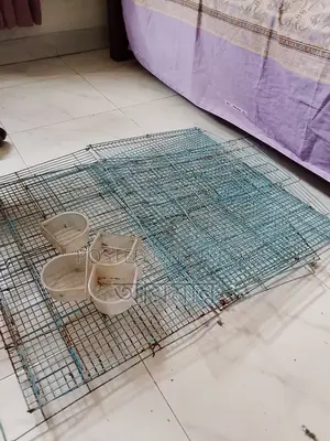 ২৪/১৬ ফোল্ডেবল কেইজ উইথ ডিভাইডার