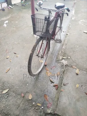 দুরন্ত বাই সাইকেল। অনেক শক্তিশালী। কয়েকদিন ব্যাবহার করেছি।